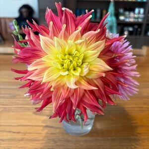 Meet your Posher, Kristi